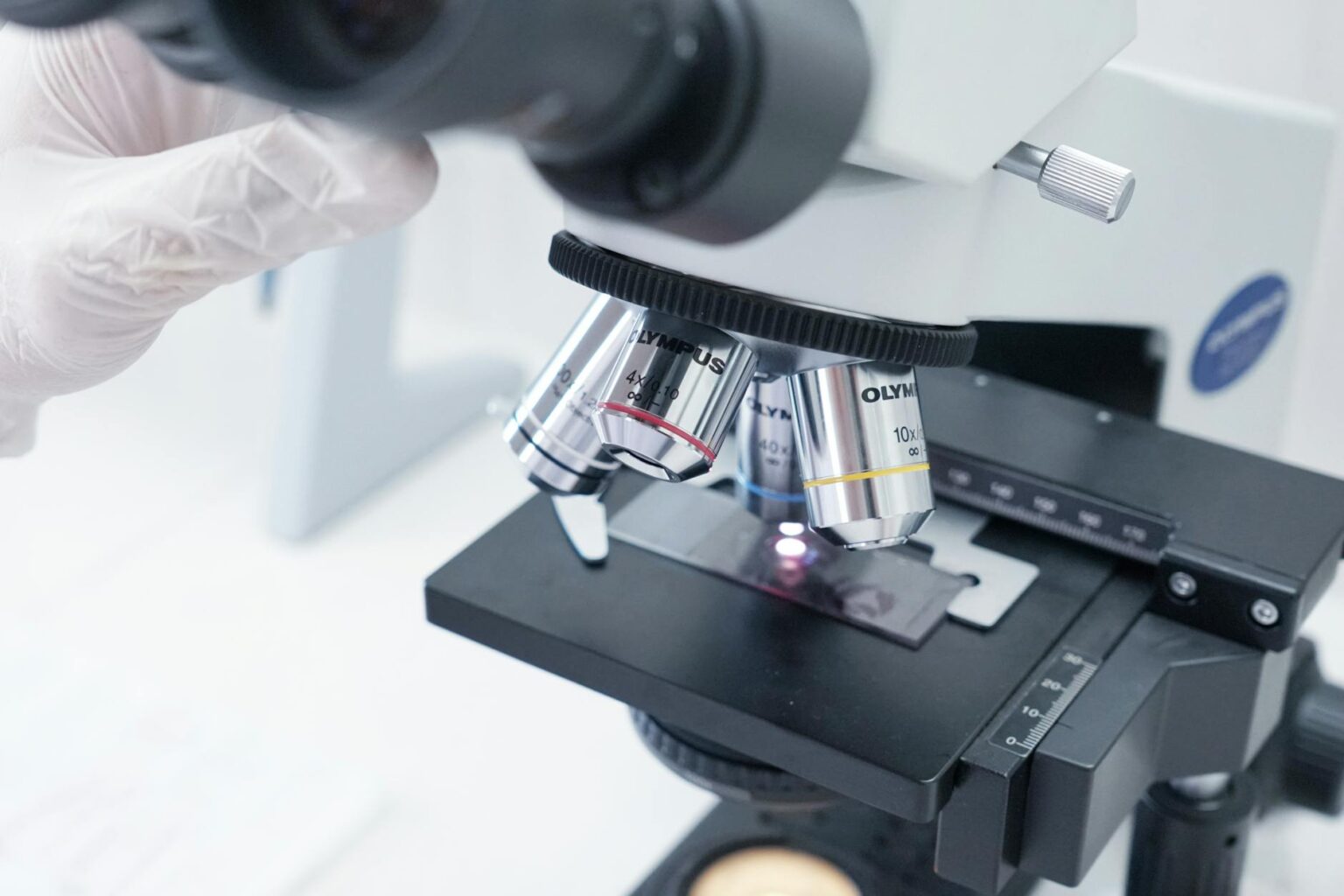 How Lab-Grown Wood Could Replace Traditional Lumber in Construction Projects Scientific laboratory equipment used for cellular research and material development