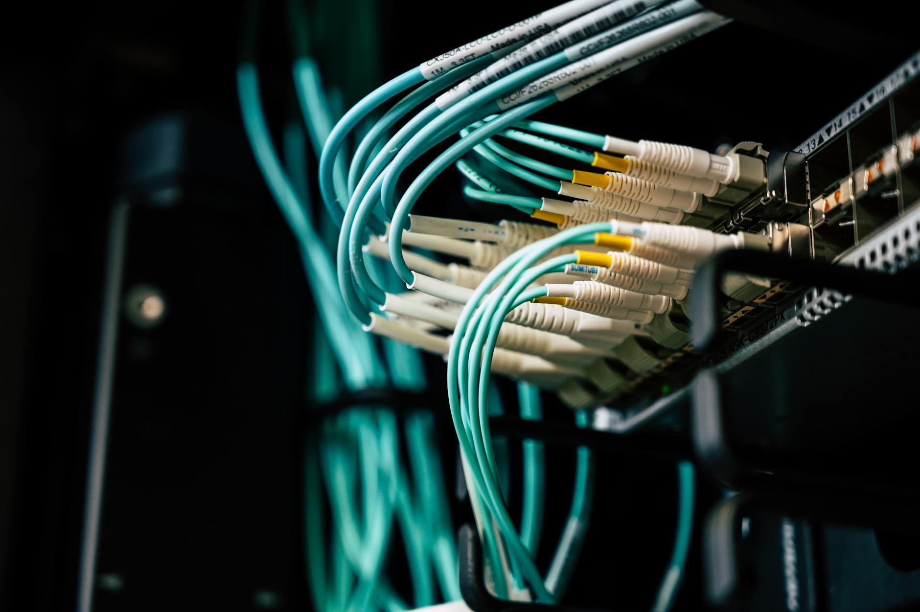 Close-up of ethernet network cables and connections in computer infrastructure