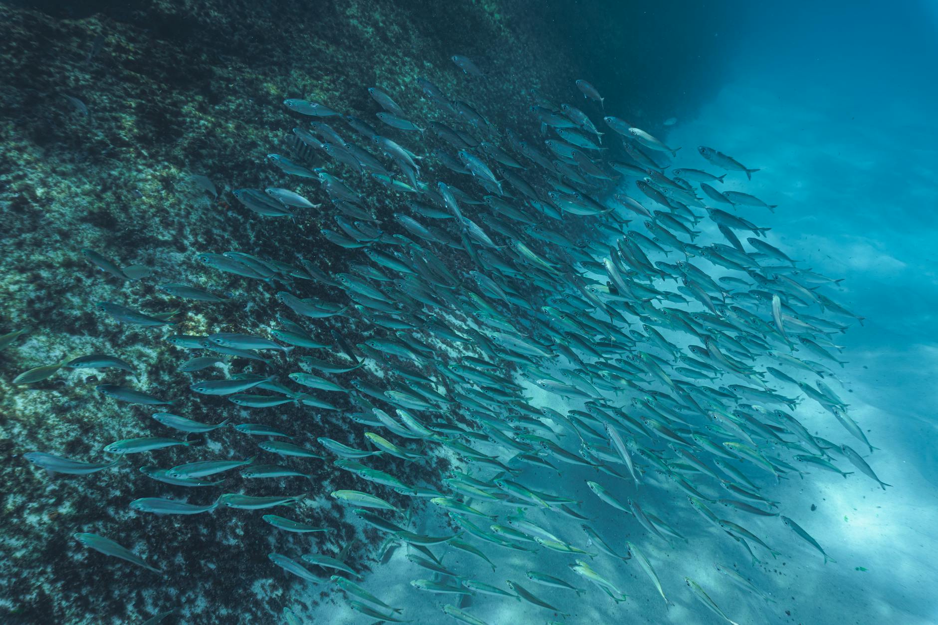 Marine research equipment and monitoring devices on boat deck overlooking ocean
