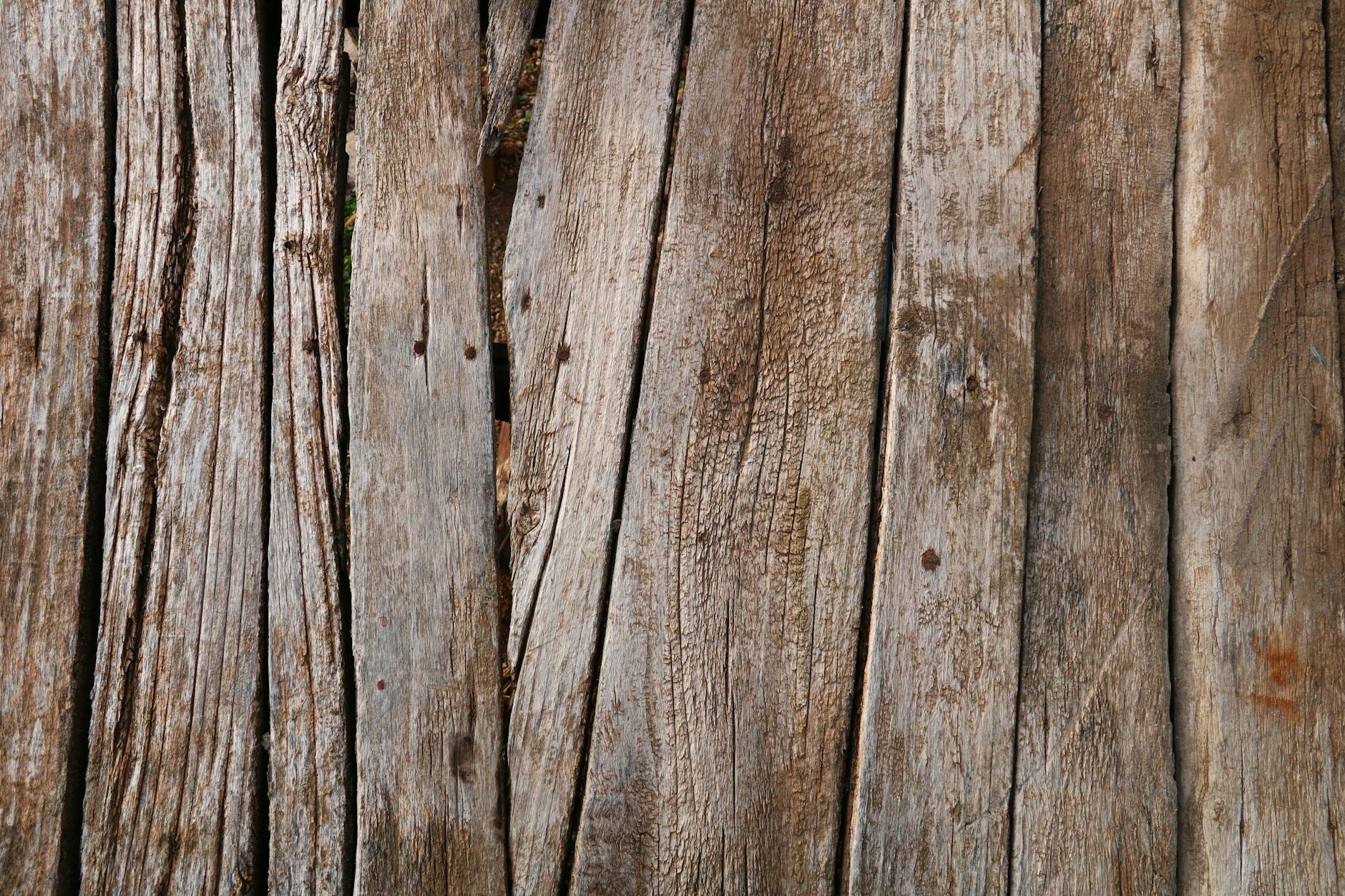 Close-up view of natural wood grain texture showing organic patterns and structure