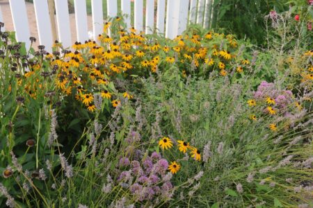 Close-up of a suburban backyard garden with grass and plants, evoking the miniature survival world of Grounded