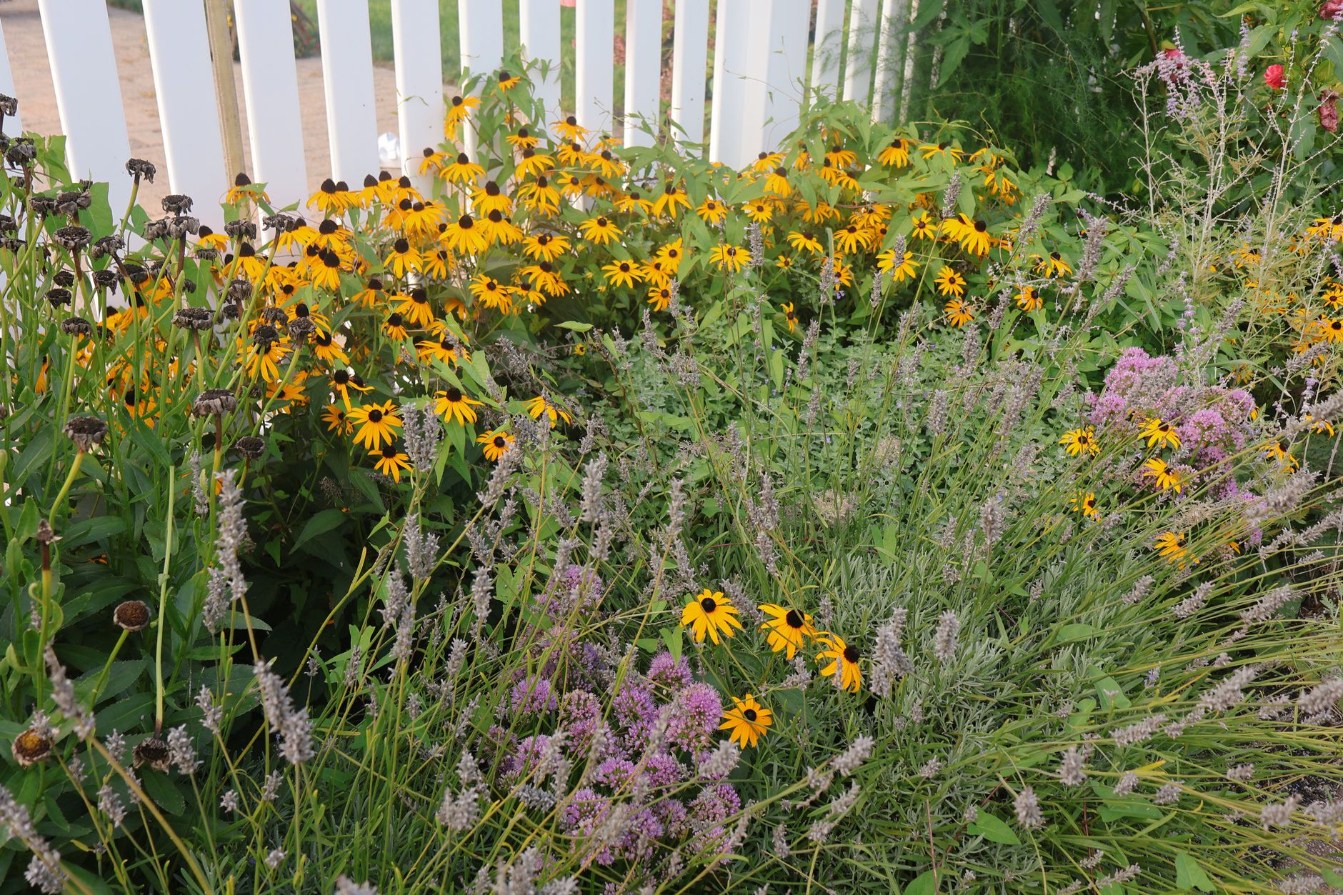 Close-up of a suburban backyard garden with grass and plants, evoking the miniature survival world of Grounded