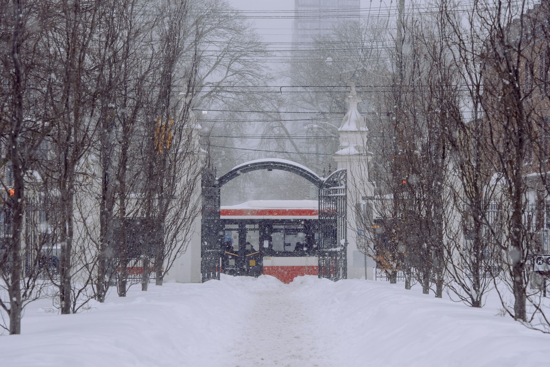 A snow-covered mountain path with a traditional torii gate, evoking the setting of Ghost of Yotei