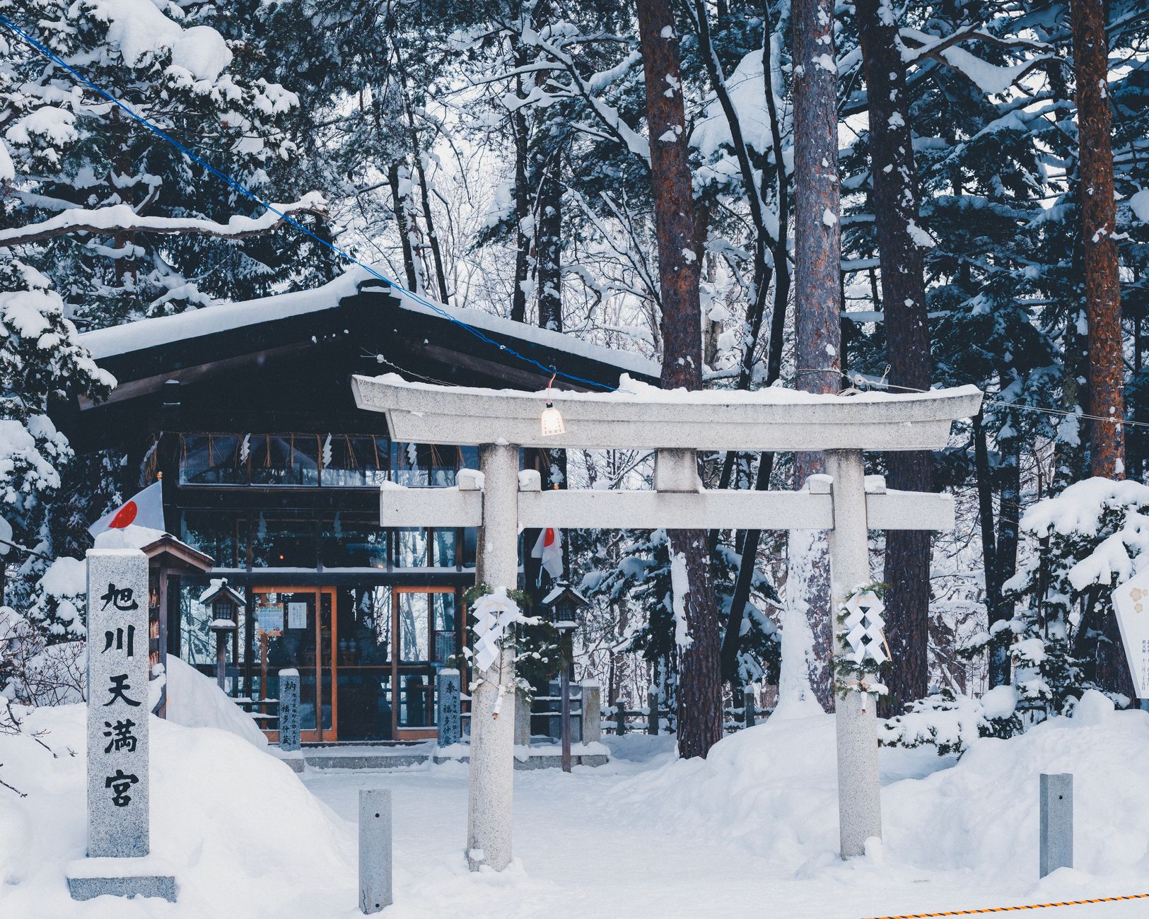 A frost-covered Japanese forest landscape, similar to the Hokkaido setting shown in the Ghost of Yotei announcement trailer