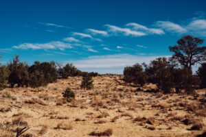 A barren desert landscape representing the post-apocalyptic setting of Fallout New Vegas