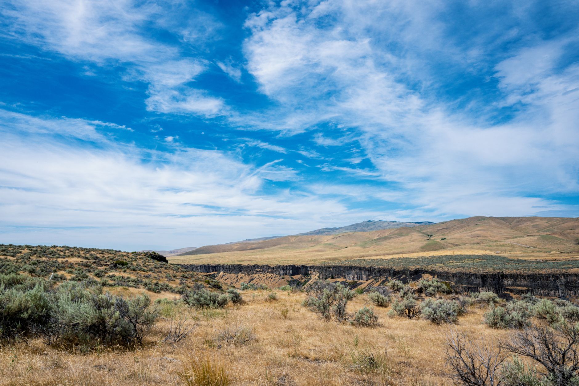 Expansive open world landscape representing the scale of modern open-world game design